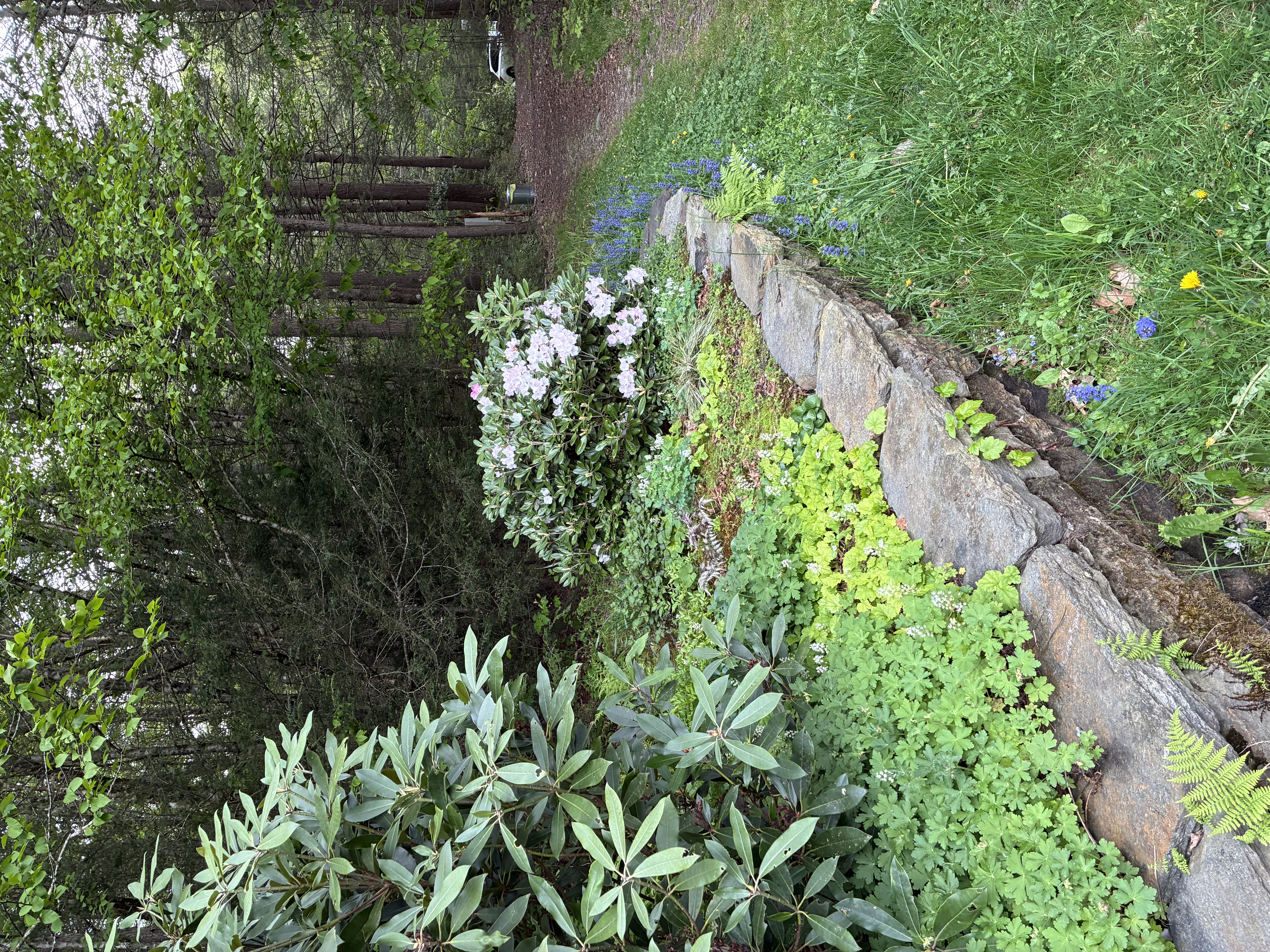 Toward path 5-21-26